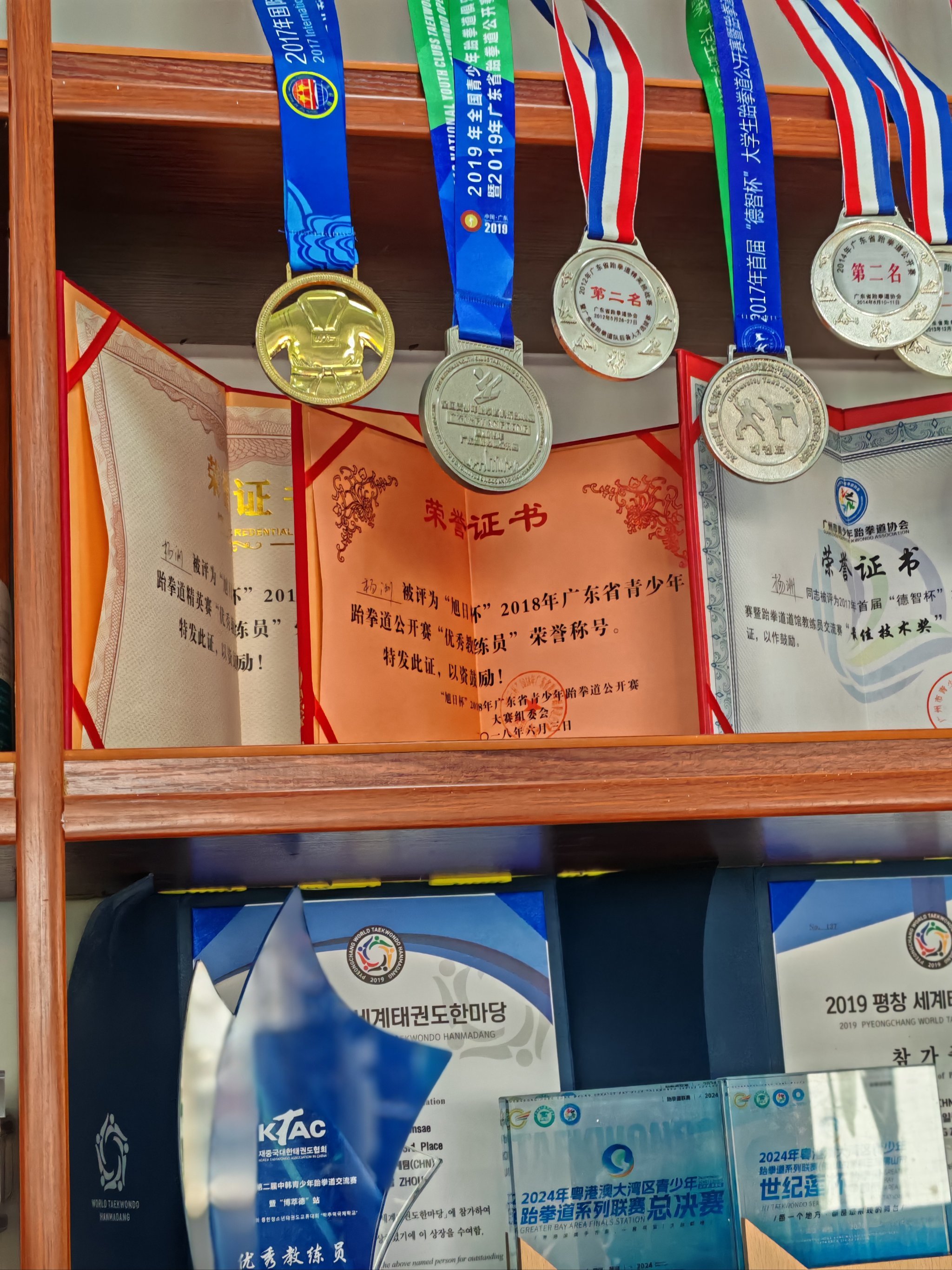 九游娱乐-跆拳道常规赛上演强强对话，姑苏貔貅队鏖战岭东灰熊队，多点开花奏效；豪门底蕴再次显现的简单介绍